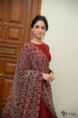 Tamannaah at Speedunnodu Movie Audio Launch